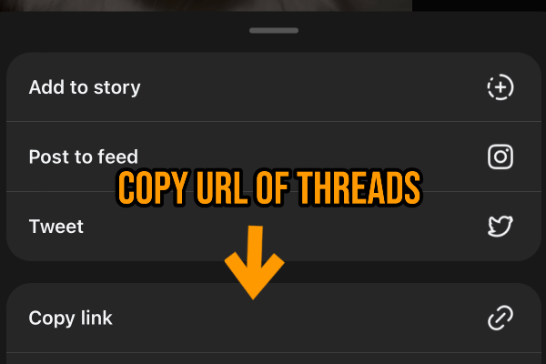 Copy URL Threads